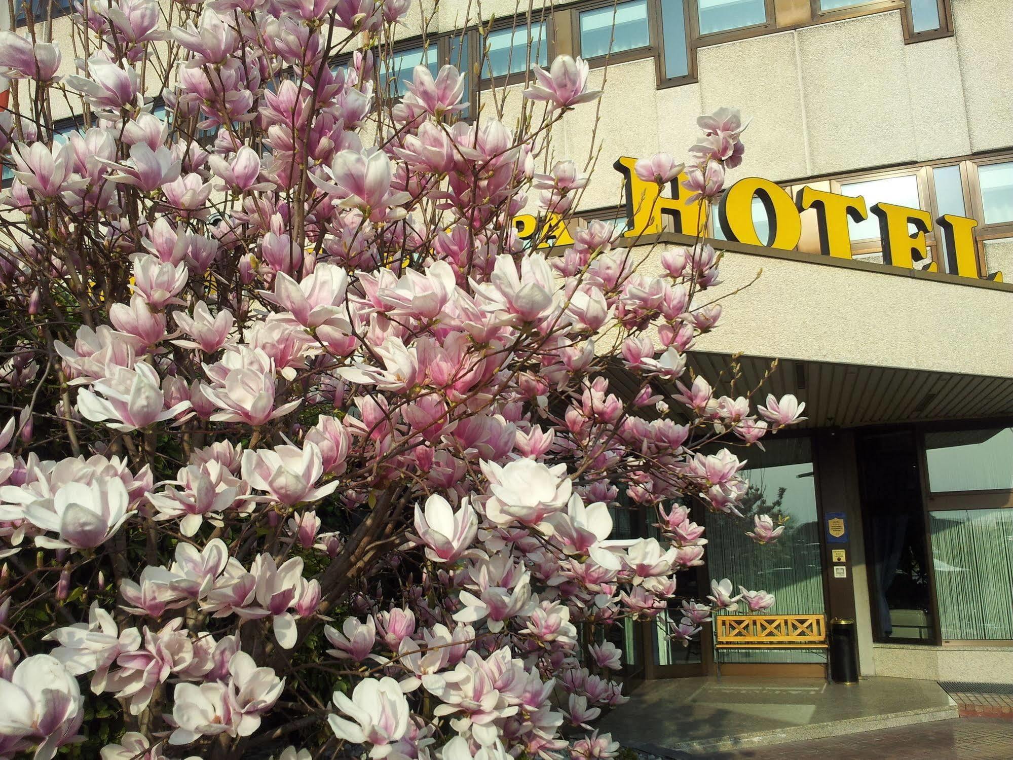 Hotel Saccardi & - Adults Only 4*